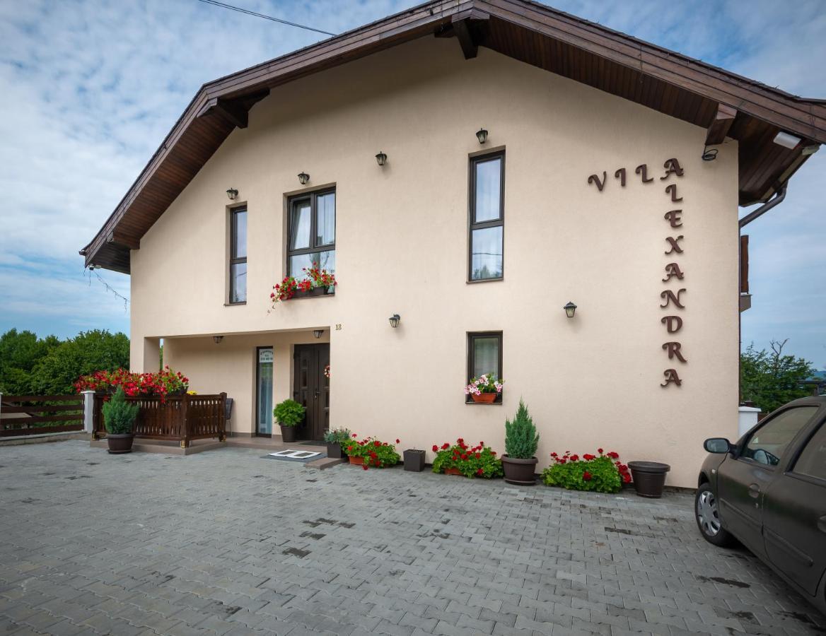 Vila Alexandra Sovata Exterior foto