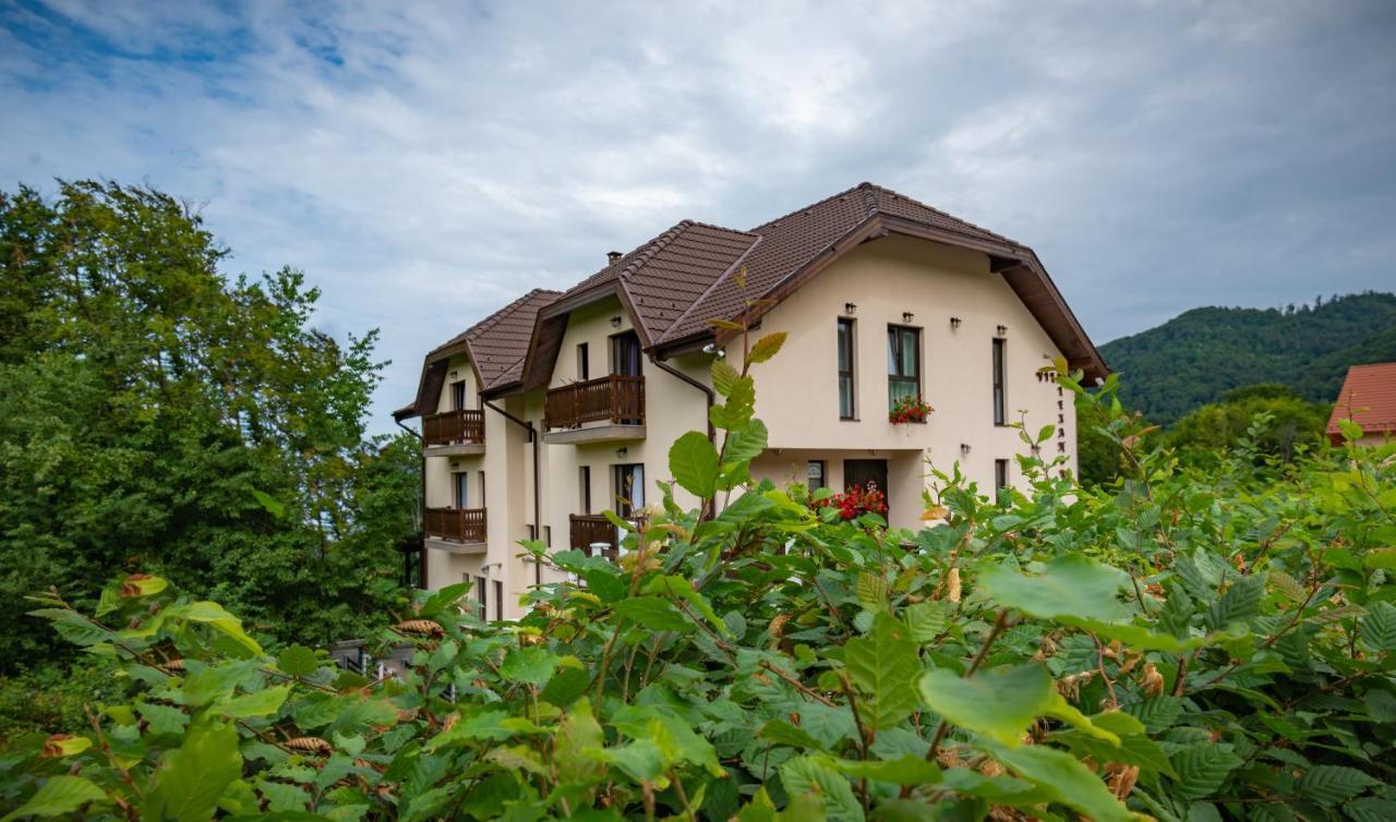 Vila Alexandra Sovata Exterior foto