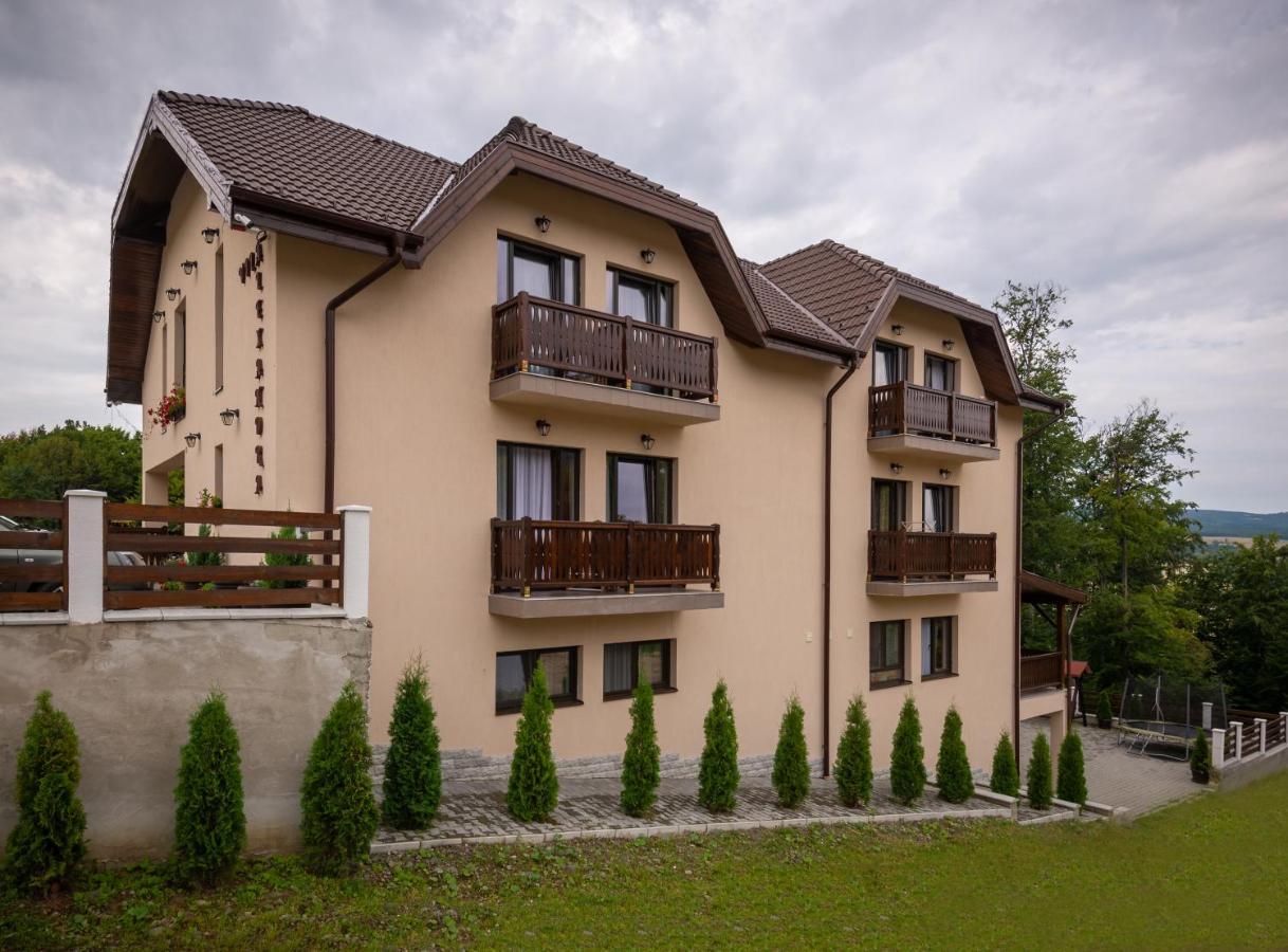 Vila Alexandra Sovata Exterior foto
